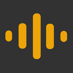 GoVoice