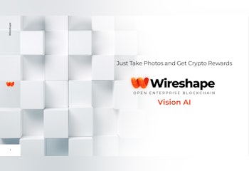Wireshape Vision AI
