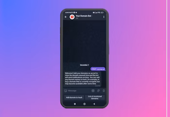Your Domain Bot