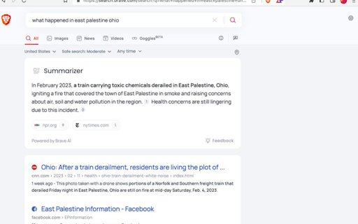 Brave Search Summarizer