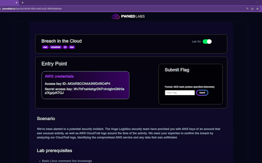 Pwned Labs