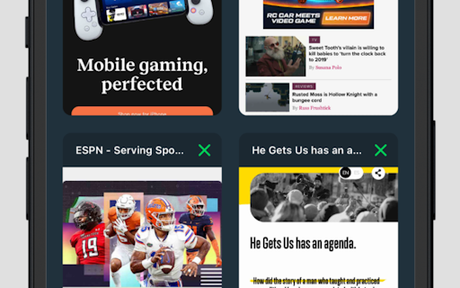 Lion Accountability Browser