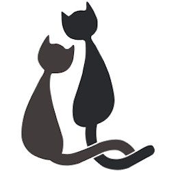 Tailchat