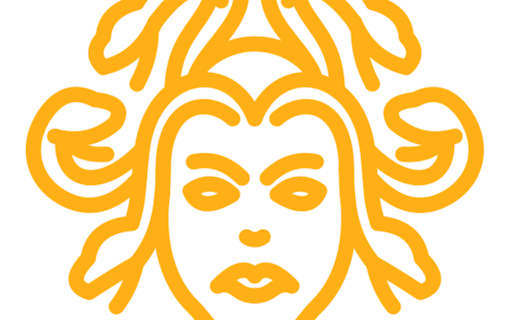 Medusa Ai