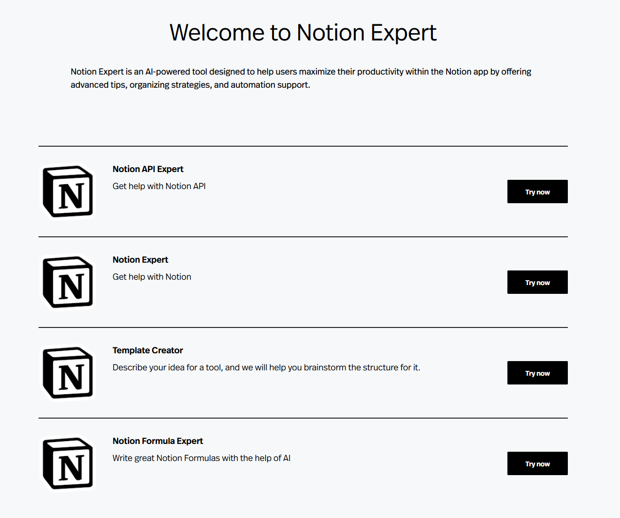 Notion Expert