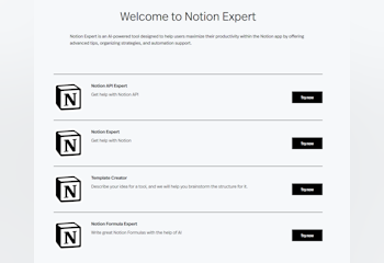 Notion Expert