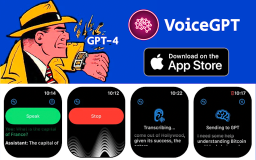 VoiceGPT - Talk with AI