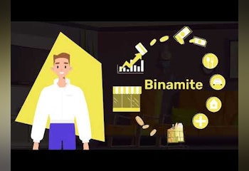 Binamite